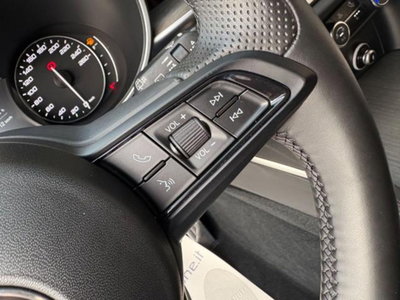 Alfa Romeo Stelvio Stelvio 2.2 Turbodiesel 210 CV AT8 Q4 Ti (17)