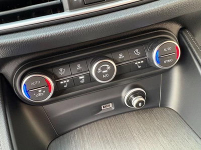 Alfa Romeo Stelvio Stelvio 2.2 Turbodiesel 210 CV AT8 Q4 Ti (18)