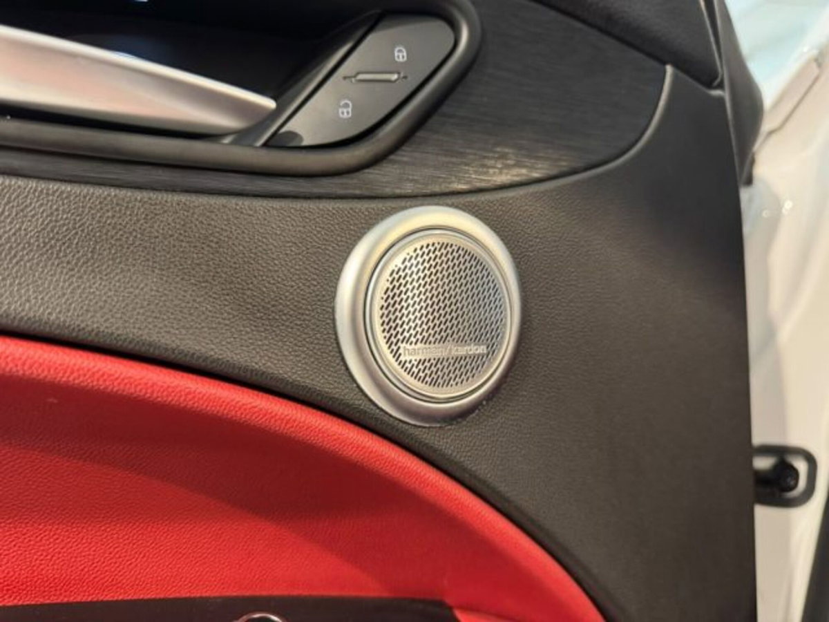 Alfa Romeo Stelvio 2.2 t Veloce Q4 210cv auto (15)
