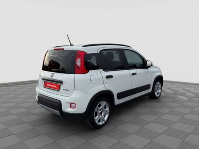 Fiat Panda 1.0 FireFly S&S Hybrid City Cross (5)