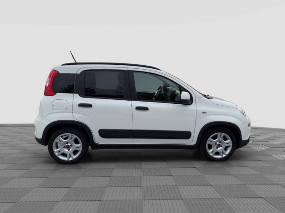 Fiat Panda 1.0 FireFly S&S Hybrid City Cross (6)