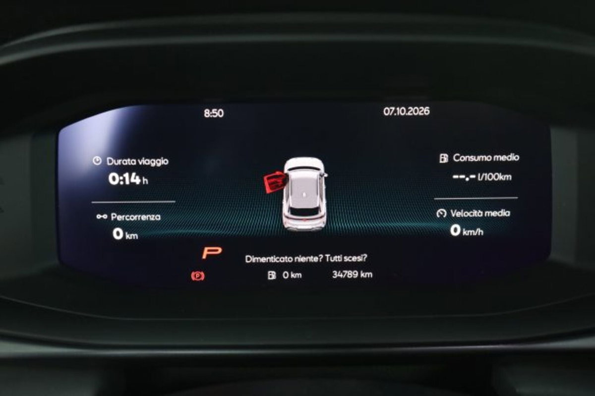 Cupra Terramar 1.5 hybrid 150cv dsg (7)