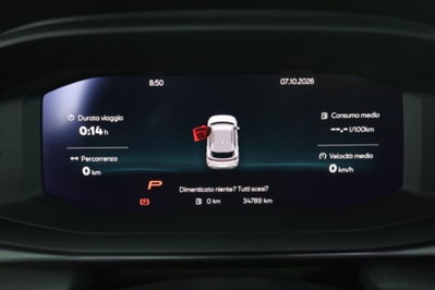 Cupra Terramar 1.5 hybrid 150cv dsg (7)