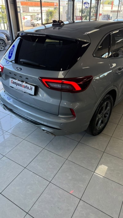 Ford Kuga 1.5 EcoBoost 150 CV 2WD ST-Line (17)
