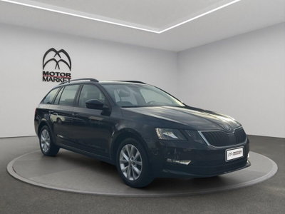 Skoda Octavia Station Wagon 1.6 TDI 115 CV Wagon 4x4 Executive (3)