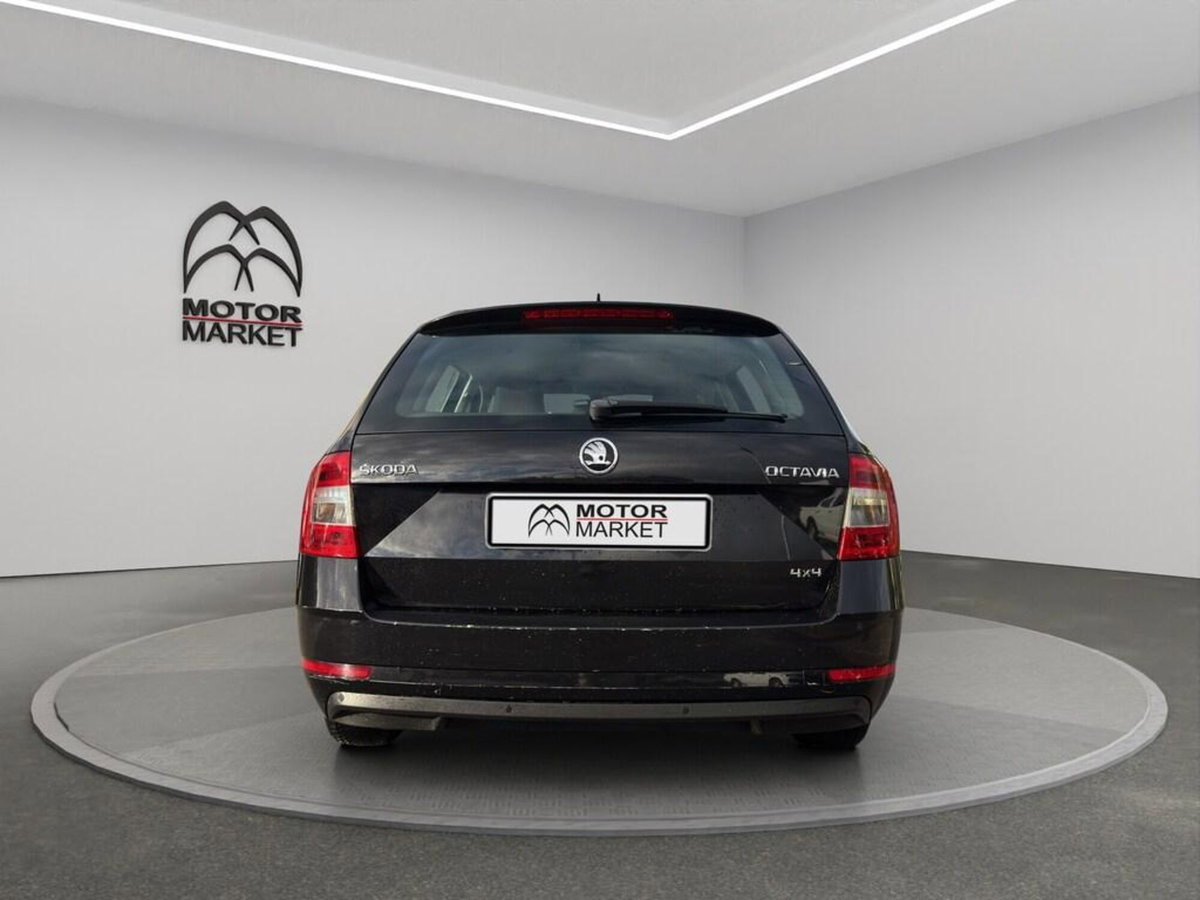 Skoda Octavia Station Wagon 1.6 TDI 115 CV Wagon 4x4 Executive (6)