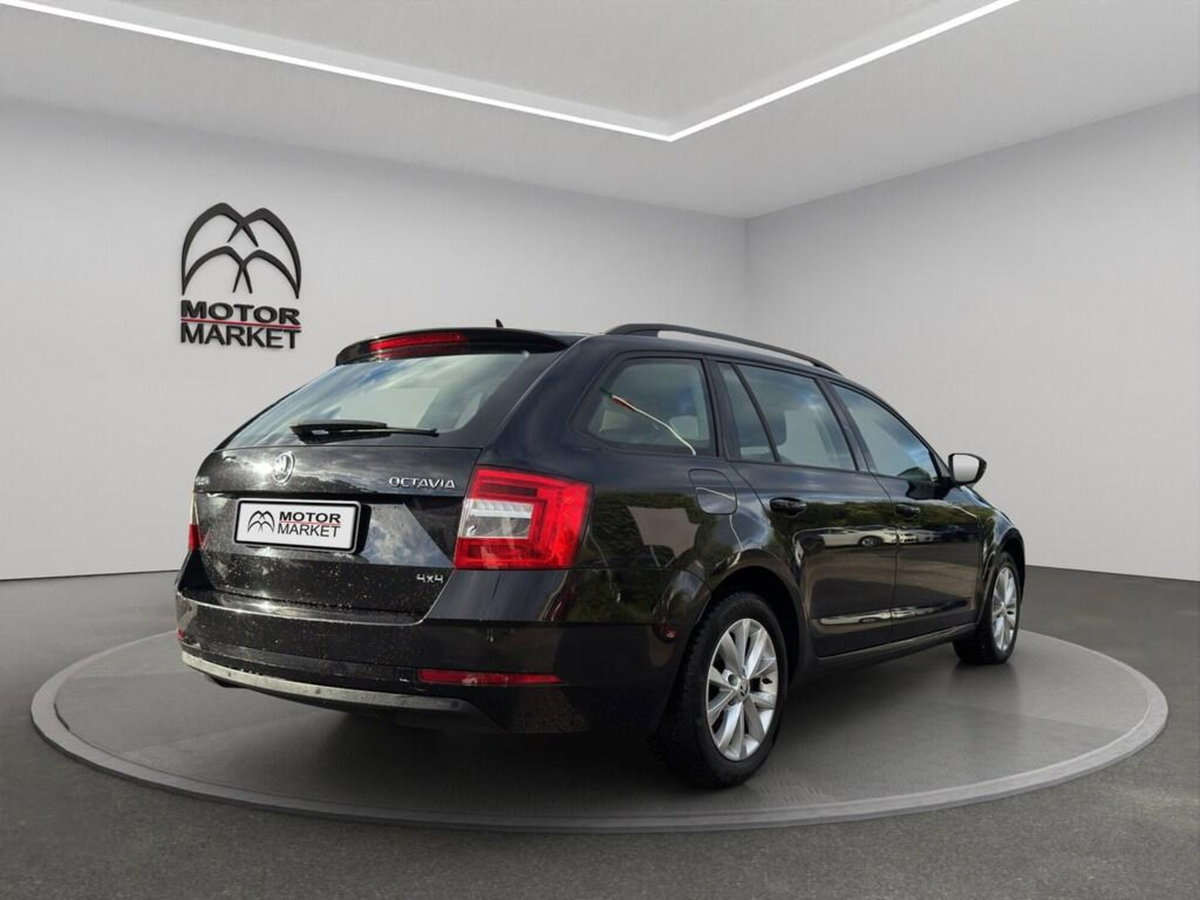 Skoda Octavia Station Wagon 1.6 TDI 115 CV Wagon 4x4 Executive (7)