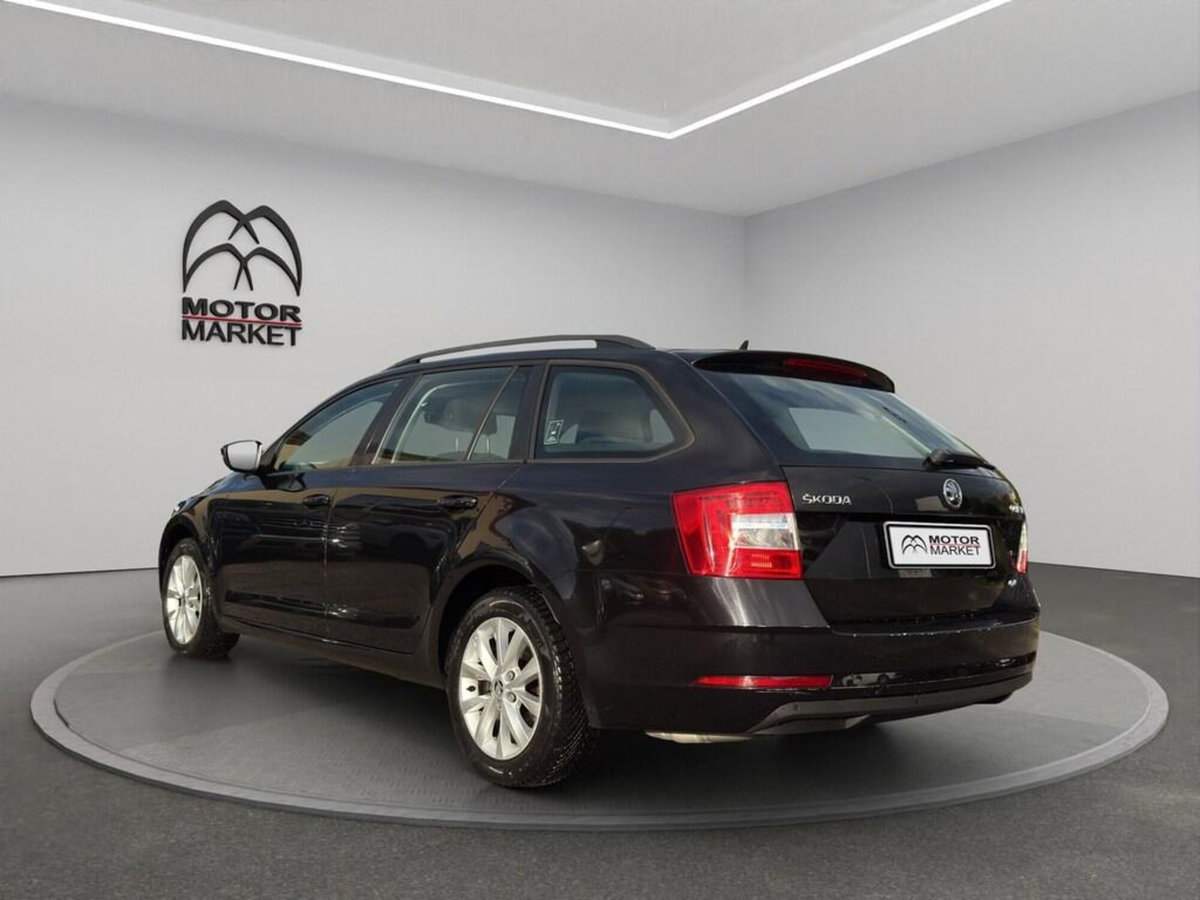 Skoda Octavia Station Wagon 1.6 TDI 115 CV Wagon 4x4 Executive (8)