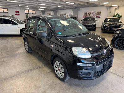 Fiat Panda 1.2 Easy usata