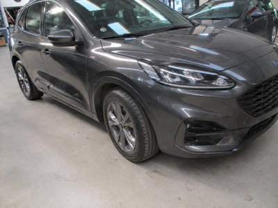 Ford Kuga 1.5 EcoBlue 120 CV 2WD ST-Line usata