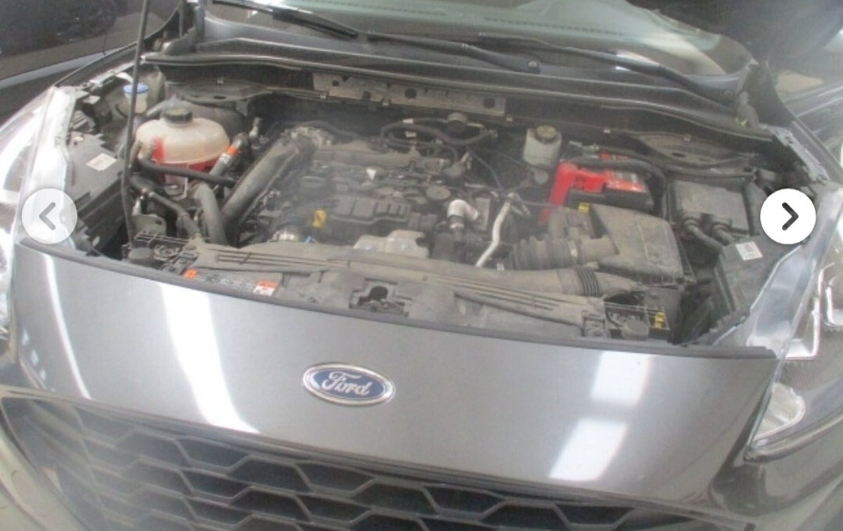 Ford Kuga 1.5 EcoBlue 120 CV 2WD ST-Line (15)