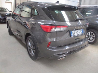 Ford Kuga 1.5 EcoBlue 120 CV 2WD ST-Line (3)