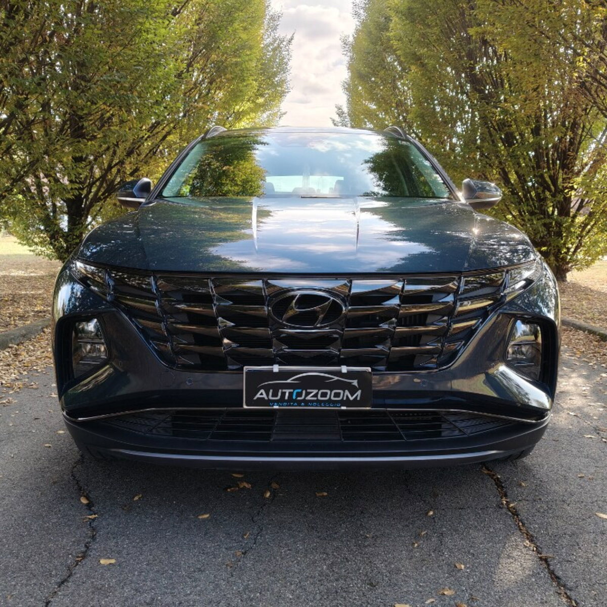 Hyundai Tucson 1.6 phev Xline 4wd auto (15)