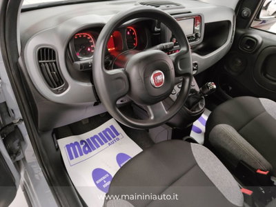 Fiat Panda 1.0 FireFly S&S Hybrid City Cross (8)