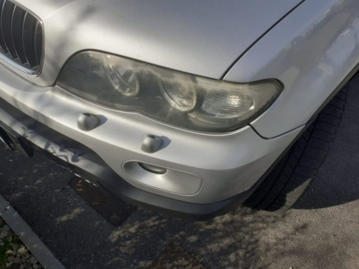 BMW X5 3.0d cat Futura (7)
