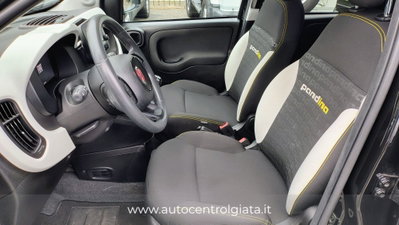 Fiat Panda Cross Cross 1.0 FireFly S&S Hybrid (7)