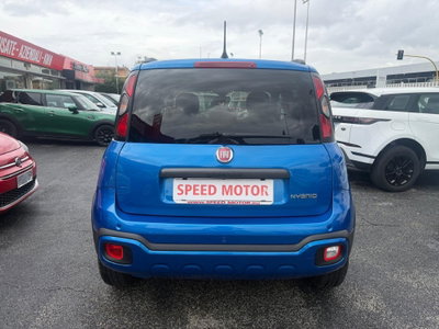Fiat Panda Cross Cross 1.0 FireFly S&S Hybrid (5)