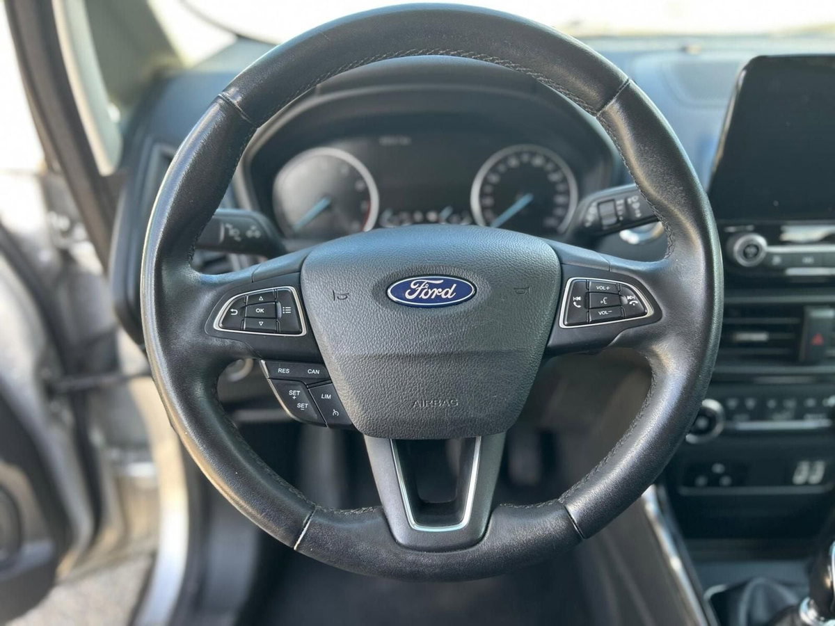 Ford EcoSport 1.0 EcoBoost 100 CV Business (10)