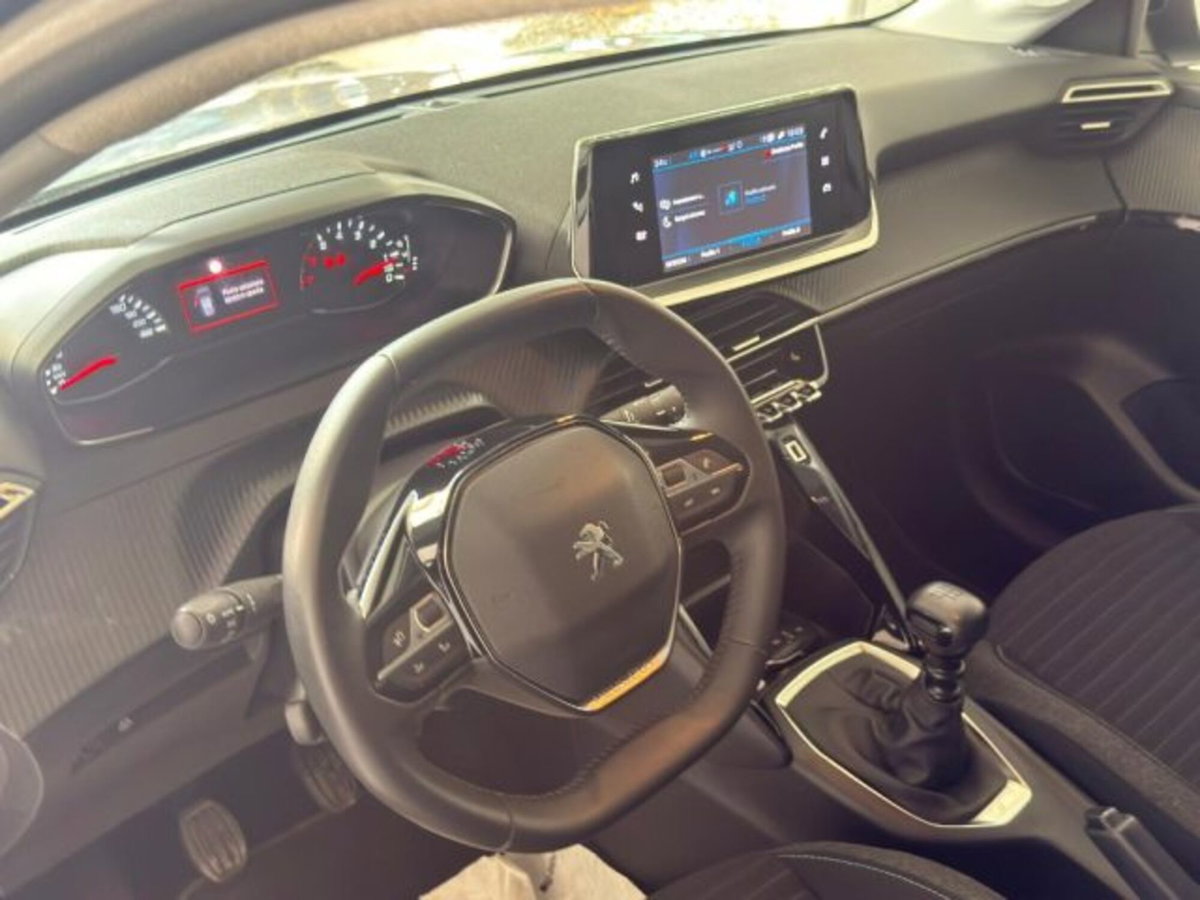 Peugeot 208 BlueHDi 100 Stop&Start 5 porte Active Pack (10)
