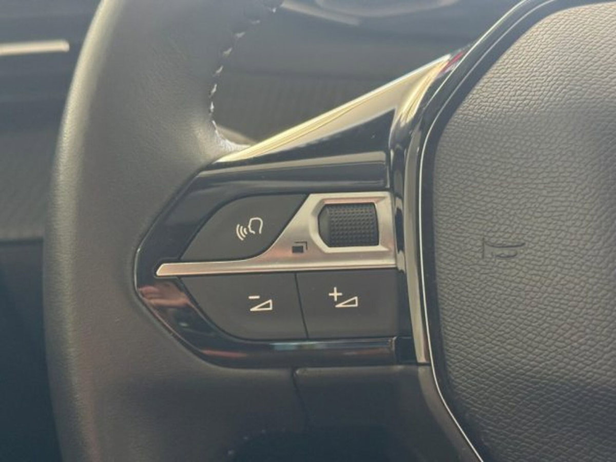 Peugeot 208 BlueHDi 100 Stop&Start 5 porte Active Pack (11)