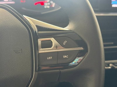 Peugeot 208 BlueHDi 100 Stop&Start 5 porte Active Pack (12)