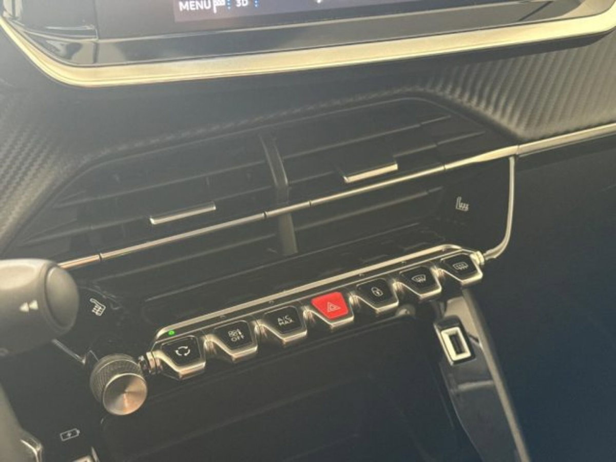 Peugeot 208 BlueHDi 100 Stop&Start 5 porte Active Pack (20)