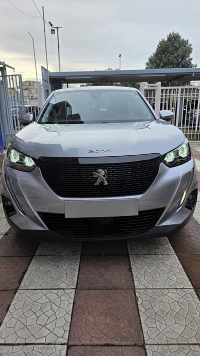 Peugeot 2008 BlueHDi 110 S&S Active Pack usata