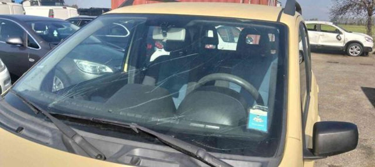 Fiat Panda 1.3 MJT 16V 4x4 (7)
