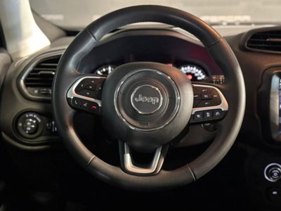 Jeep Renegade 1.6 Mjt 130 CV Limited (11)