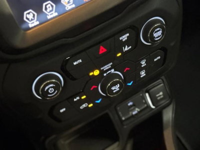 Jeep Renegade 1.6 Mjt 130 CV Limited (16)