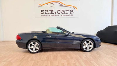 Mercedes-Benz SL 500 cat (6)