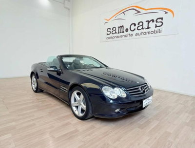 Mercedes-Benz SL 500 cat (7)