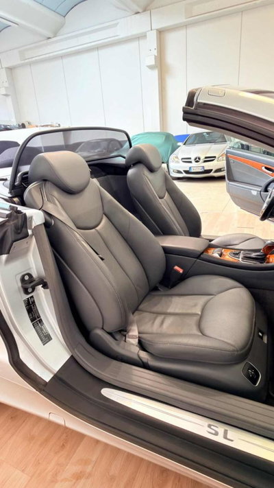 Mercedes-Benz SL 500 cat (12)