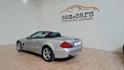 Mercedes-Benz SL 500 cat (2)