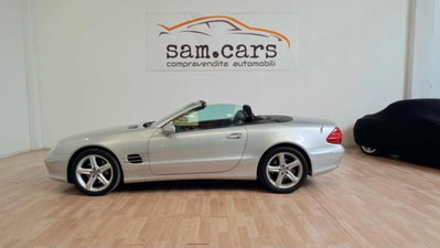 Mercedes-Benz SL 500 cat (3)