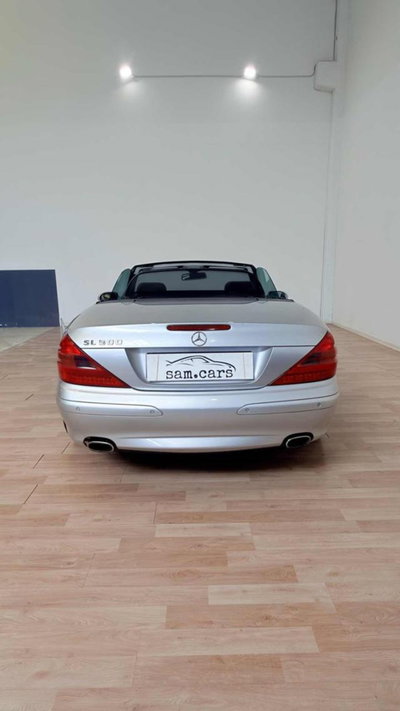Mercedes-Benz SL 500 cat (4)