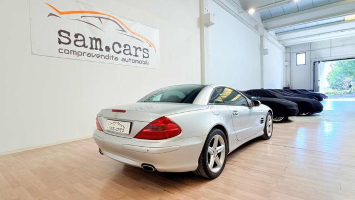 Mercedes-Benz SL 500 cat (5)