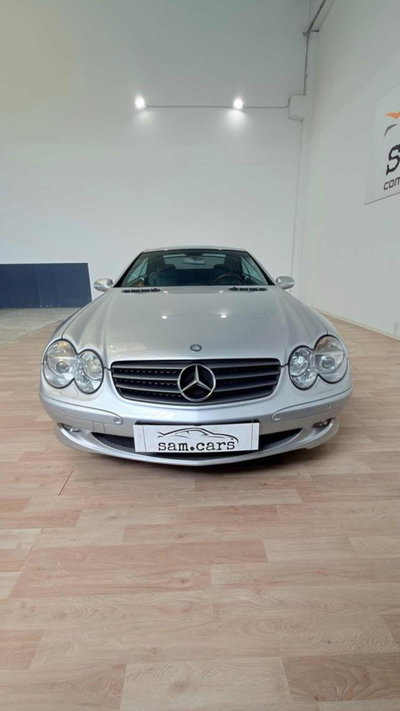 Mercedes-Benz SL 500 cat (8)
