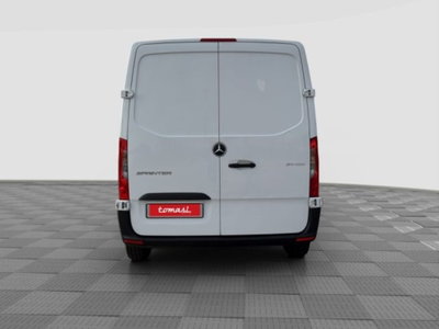 Mercedes-Benz Sprinter F32/35 311 CDI FWD TN Furgone (4)