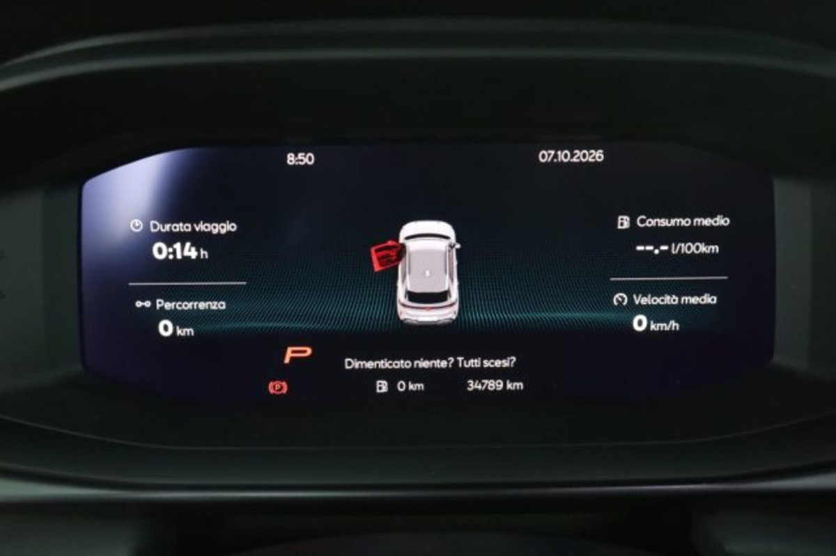 Cupra Terramar 1.5 hybrid 150cv dsg (7)
