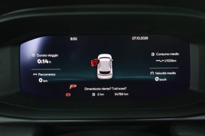 Cupra Terramar 1.5 hybrid 150cv dsg (7)