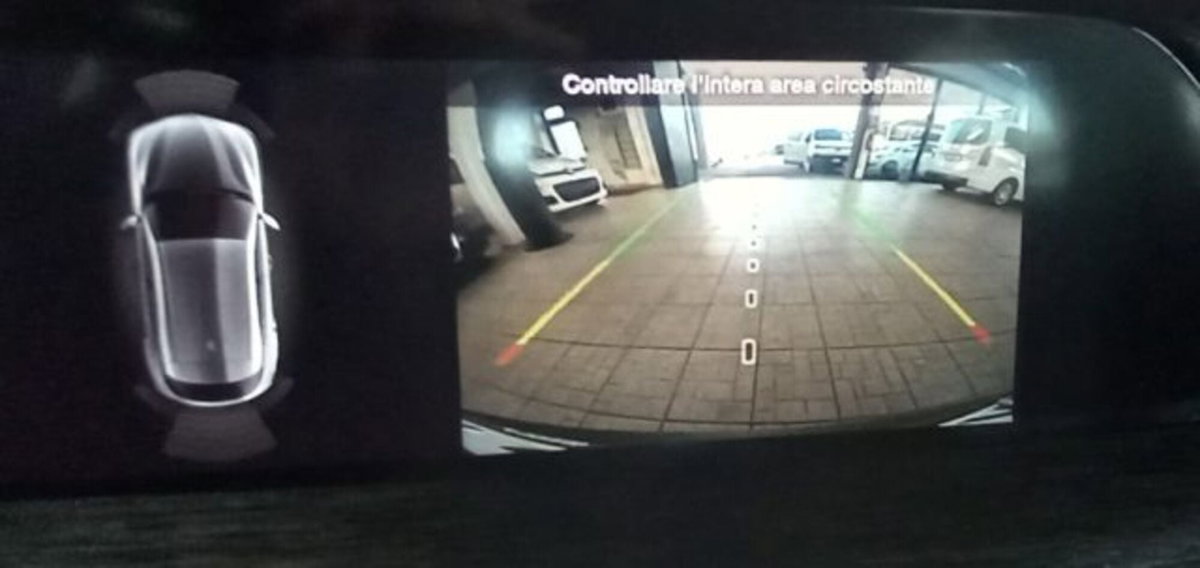 Alfa Romeo Stelvio Stelvio 2.2 Turbodiesel 190 CV AT8 Q4 Sprint (13)