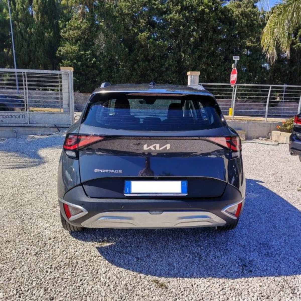 Kia Sportage 1.6 crdi mhev Business dct (3)