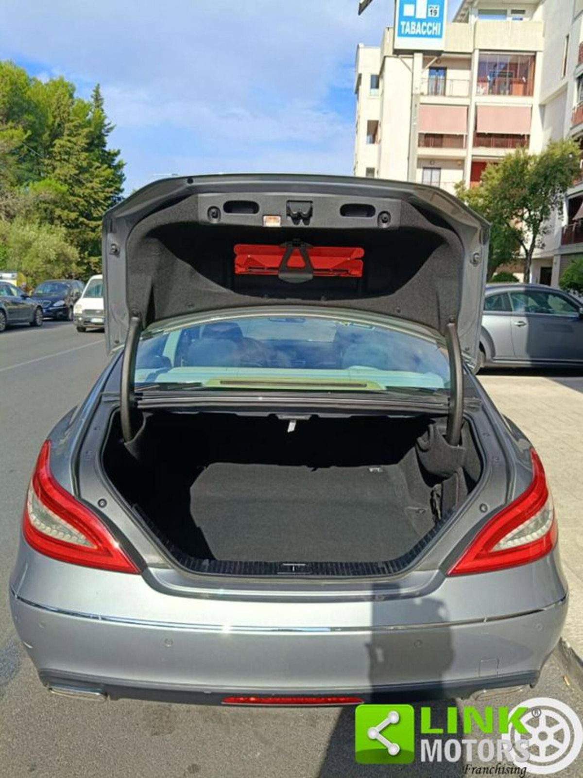 Mercedes-Benz CLS 250 CDI BlueEFFICIENCY (10)