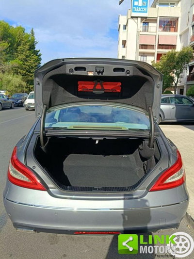 Mercedes-Benz CLS 250 CDI BlueEFFICIENCY (10)