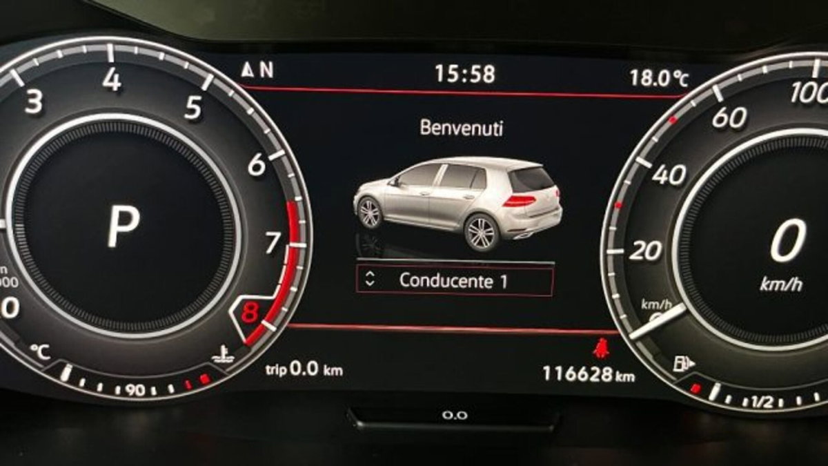 Volkswagen Golf GTI Performance 2.0 245 CV TSI DSG 5p. BMT (11)