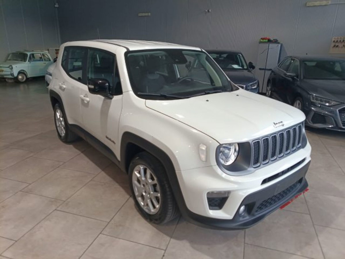 Jeep Renegade 1.6 Mjt 130 CV Limited (3)