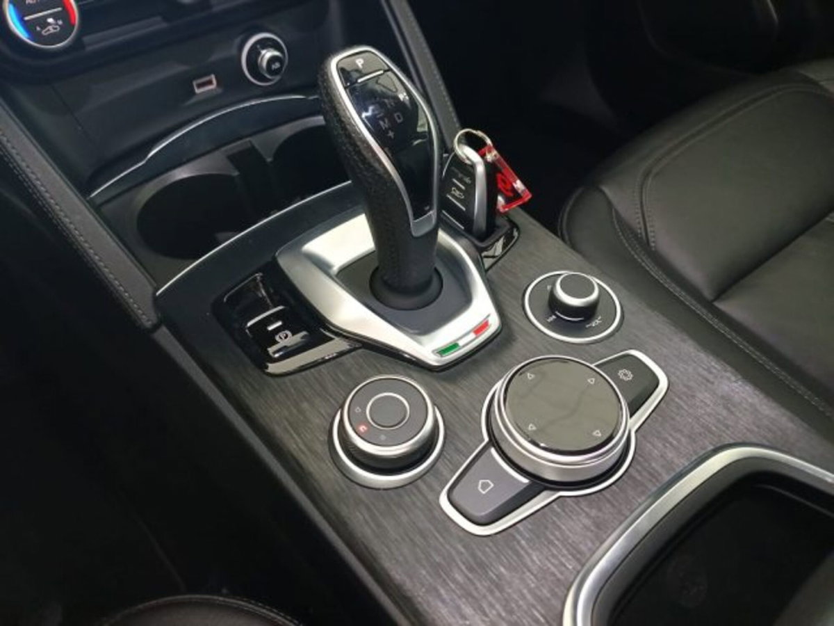 Alfa Romeo Stelvio Stelvio 2.2 Turbodiesel 190 CV AT8 Q4 Super Business (10)