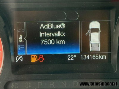 Ford Ranger Pick-up Ranger 2.0 TDCi XL 2 posti (11)