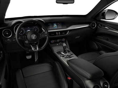 Alfa Romeo Stelvio Stelvio 2.2 Turbodiesel 210 CV AT8 Q4 Veloce (3)